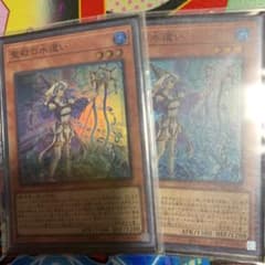遊戯王 聖殿の水遣い 2枚のサムネイル