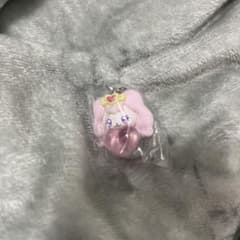 푸치큐아 표지 액세서리 파후