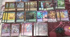 遊戯王カード19枚（希少）まとめ売り（SE3枚PA4枚UR11枚SR1枚