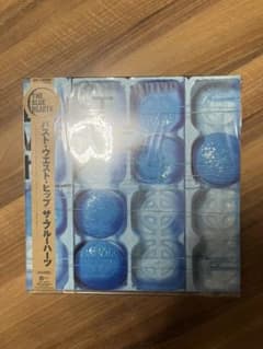 ブルーハーツレコードのサムネイル