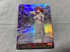ヴァイス 思いを継ぐものステフサイン LIFEノゲノラNGL/s58-051sp