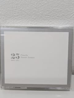 Finally Namie Amuro 25周年記念べストアルバムのサムネイル