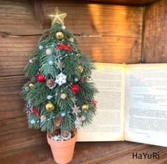 クリスマスツリー　No574のサムネイル