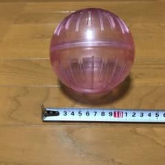 うえこみさま専用☆ハムスターボールのサムネイル