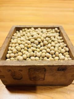 自然栽培大豆　3キロ