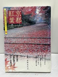 京都紅葉 京都書院アーツコレクション