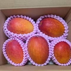 宮崎完熟マンゴー 家庭用 箱込み2,150gです。 5玉 - メルカリ