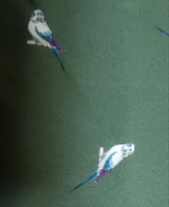 小鳥 セキセイインコ オウム 体型カバー バード 鳥 オフィス インコのサムネイル