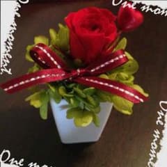 LEM様 専用出品♡グラッドのサムネイル
