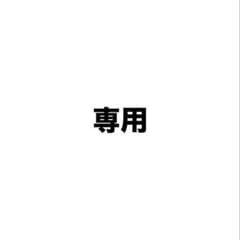 RT- 163103のサムネイル
