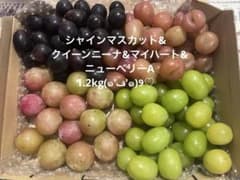 シャインマスカット&クイーンニーナ&マイハート&ニューベリーA 1.2kg❣️のサムネイル