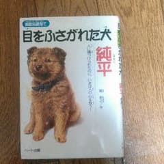 瞬間接着剤で目をふさがれた犬純平のサムネイル