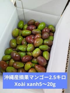 沖縄産摘果マンゴー2.5キロ 5〜20g - メルカリ
