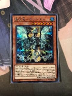 遊戯王 嵐征竜テンペスト シクのサムネイル