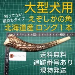えぞ鹿の角 ロング１本 大型犬用 260612-01 愛犬のおもちゃのサムネイル