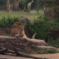 専用のサムネイル