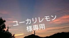 専用ページのサムネイル