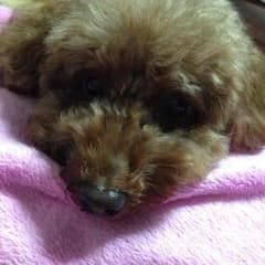 こゆ♡様専用のサムネイル