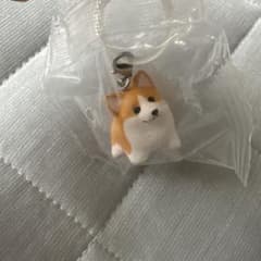 もっちりパピーのめじるしのサムネイル