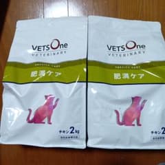 VETSOne 肥満ケア 猫用食事療法食 2kg 2袋 - メルカリ