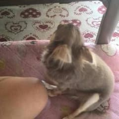 Kae様専用のサムネイル