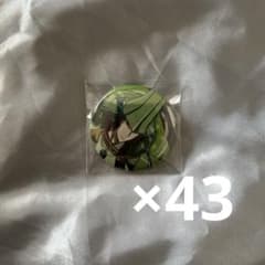 戦国BASARA プリンセスカフェ 星空party 缶バッジ 毛利元就 43個