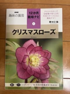 クリスマスローズ 栽培本 NHK趣味の園芸 12か月栽培ナビ ガーデニング未使用のサムネイル