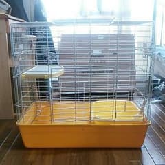 定春様専用。のサムネイル