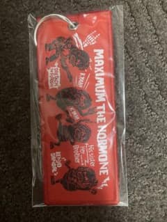 マキシマムザホルモン　フライトタグのサムネイル