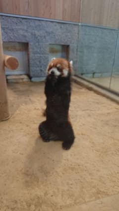 たーみ。@大学生様専用のサムネイル