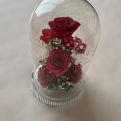 Reine De Fleur プリザーブドフラワー ガラスドーム レッド - メルカリ