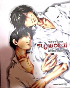 峰倉かずや画集セットSugarcoat1.2 峰倉かずや】画集 sugarcoat 特典CD-ROM付き - メルカリ