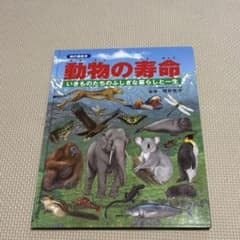 動物の寿命 いきものたちのふしぎな暮らしと一生 絵本のサムネイル