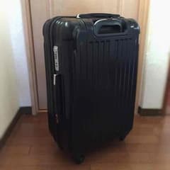 【VahV☆様】キャリーバッグのサムネイル