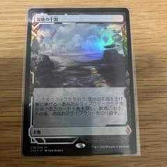 MTG 湿地の干潟 日本語版 ゼンディカー エクスペディション foil 1枚
