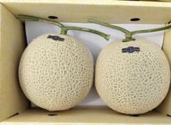 高知産 贈答用 温室マスクメロン 2玉 約4，6Kg 秀品 北海道沖縄発送 