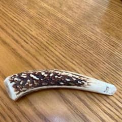 鹿の角のサムネイル