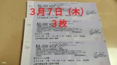 侍ジャパンシリーズ2024 日本vs欧州代表 ３月７日（木）３枚 京セラドームのサムネイル