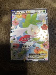 シャイニーコレクション　シェイミEXのサムネイル