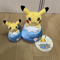 ポケモン - 【新品 未使用】 御殿場店限定 富士山ピカチュウ ぬいぐるみ 2体 ポケモン袋付 新品 ポケモンセンター御殿場アウトレット限定 富士山頂