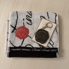 安室奈美恵 タオル缶マグネット付 新品未開封❤ 安室奈美恵 タオル缶マグネット付 新品未開封❤ 安室奈美恵グッズ