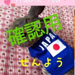フリマ価格ルーマニア激安様確認用のサムネイル