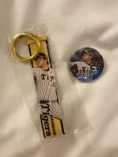 阪神タイガース　髙橋遥人のサムネイル