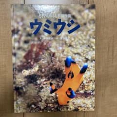 ウミウシ　たくさんのふしぎ傑作集のサムネイル