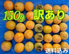 【渋柿】 種なし 9.0キロ 干し柿用　渋柿のサムネイル