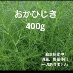 おかひじき 400g 栽培期間中農薬不使用のサムネイル
