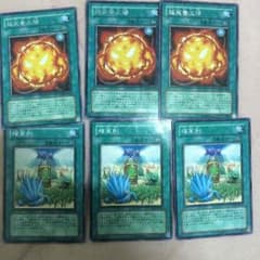 [値段交渉OK]超栄養太陽&増草剤のサムネイル