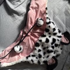 ディズニー 101匹わんちゃん ファンキャップのサムネイル