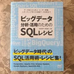 ビッグデータ分析・活用のためのSQLレシピ データ加工から売上・ユーザー把握、…のサムネイル