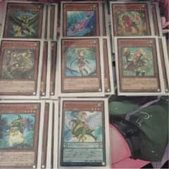 遊戯王  霊獣  デッキのサムネイル